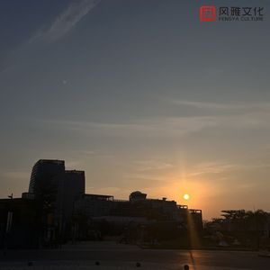 荷兰少妇XXXX做受6
